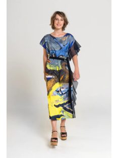 Blue Bird Printed Maxi Dress